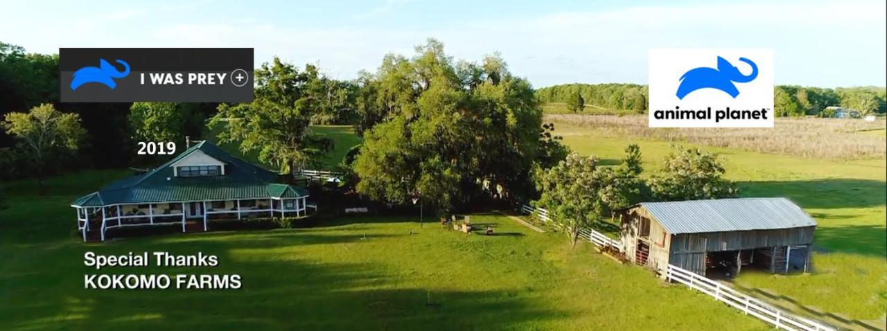 Kokomo Farms Live Oak Exterior photo