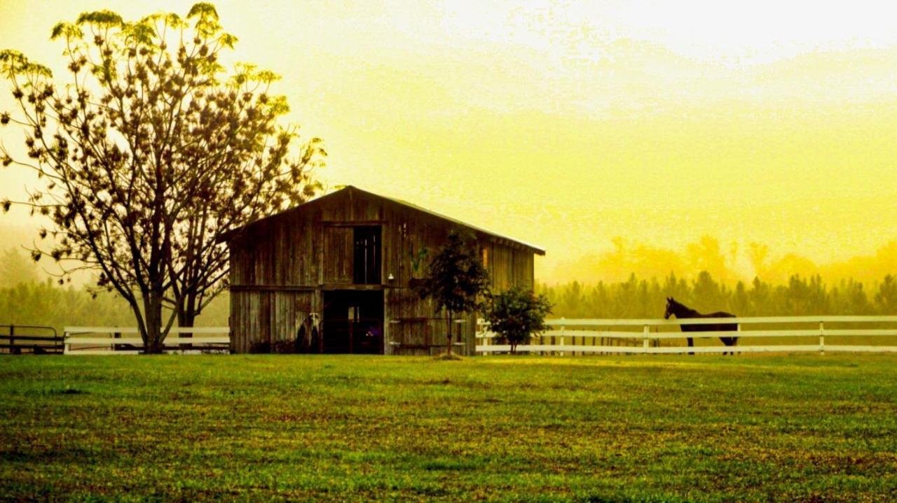 Kokomo Farms Live Oak Exterior photo