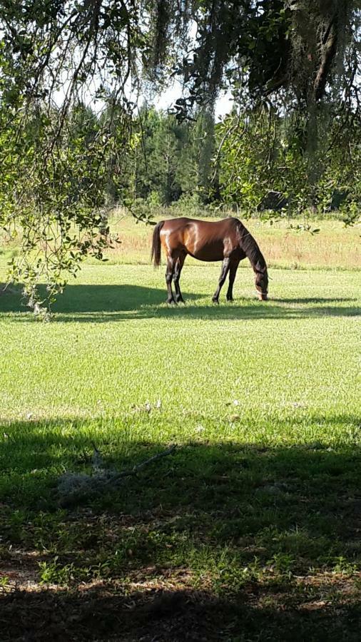 Kokomo Farms Live Oak Exterior photo